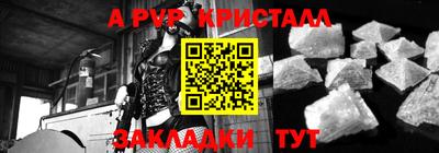 стафф Камышлов