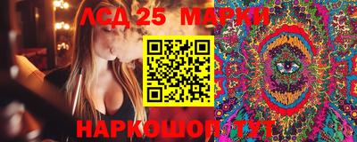 мдпв Кандалакша
