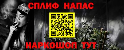 стафф Камышлов